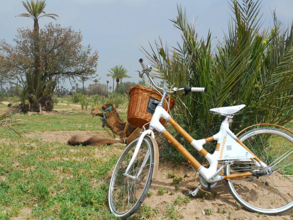 biking in Marrakech