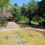 Fountain in Parc El Harti