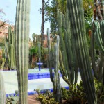 Jardin Majorelle Fountain and Cactus