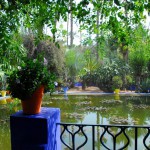 Jardin Majorelle Pond